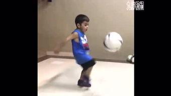 国产肥胖免费视频,健康生活新视角