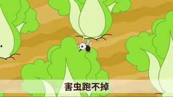 小青蛙国产小视频,国产短视频中的童年记忆