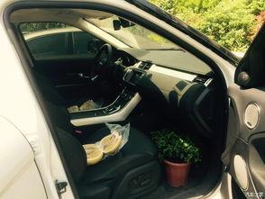 国产路虎收车视频播放大全,精彩视频一网打尽